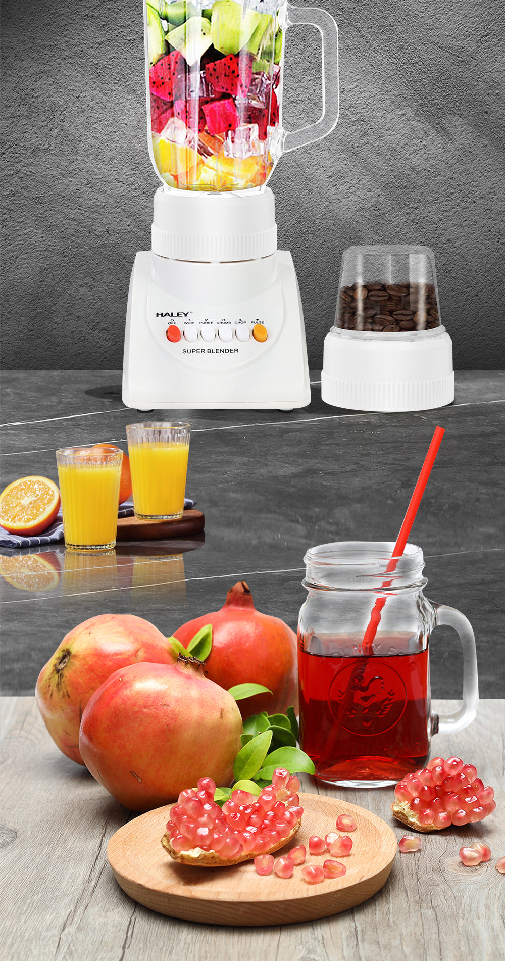 Blender Multifuncțional 2 în 1 HALEY 800W, 4 Viteze, 1L, Măcinător de Cafea, Capacitate Suc 500ml, Design Compact